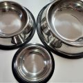 Dog Bowls