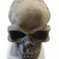 Skull 5.5x7x6.5cm